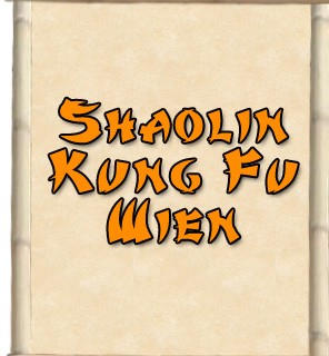 Logo der Partnerschule Shaolin Kung Fu Wien